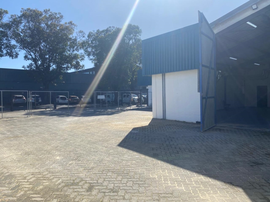 To Let commercial Property for Rent in Claremont Western Cape